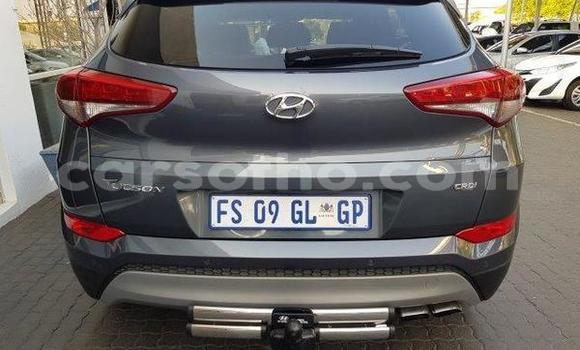 اشتري مستعمل Hyundai Tucson Silver سيارة في Mafeteng في Mafeteng اشتري مستعمل Hyundai Tucson Silver سيارة في Mafeteng في Mafeteng