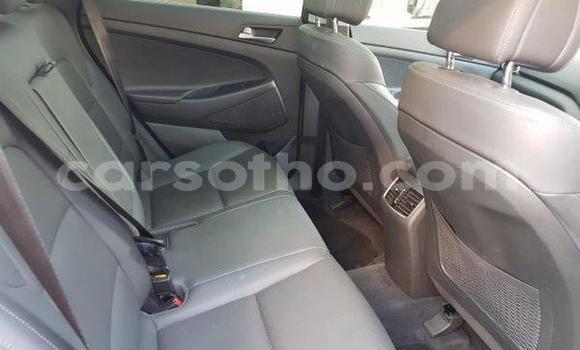 اشتري مستعمل Hyundai Tucson Silver سيارة في Mafeteng في Mafeteng اشتري مستعمل Hyundai Tucson Silver سيارة في Mafeteng في Mafeteng