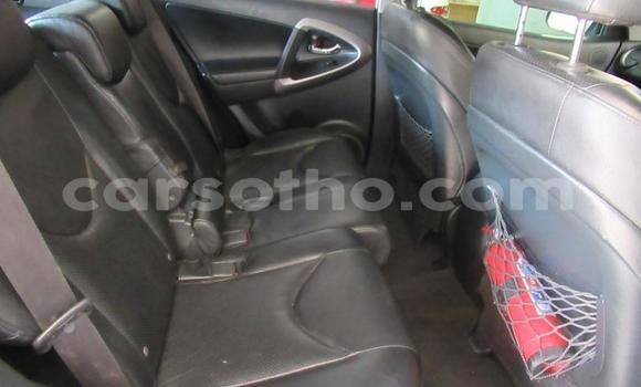 Sayi Na hannu Toyota RAV4 Silver Mota in Maseru a Maseru Sayi Na hannu Toyota RAV4 Silver Mota in Maseru a Maseru