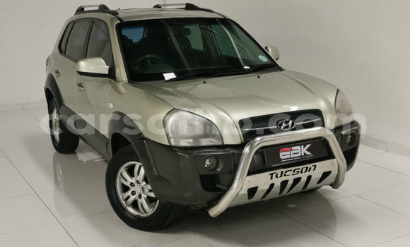 Buy Used Hyundai Tucson Other Car in Butha–Buthe in Thaba-Tseka Buy Used Hyundai Tucson Other Car in Butha–Buthe in Thaba-Tseka