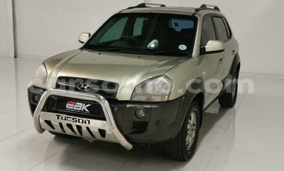 Buy Used Hyundai Tucson Other Car in Butha–Buthe in Thaba-Tseka Buy Used Hyundai Tucson Other Car in Butha–Buthe in Thaba-Tseka
