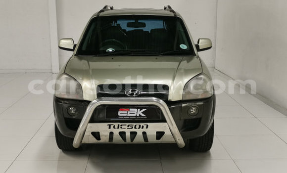 Buy Used Hyundai Tucson Other Car in Butha–Buthe in Thaba-Tseka Buy Used Hyundai Tucson Other Car in Butha–Buthe in Thaba-Tseka