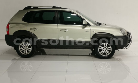 Buy Used Hyundai Tucson Other Car in Butha–Buthe in Thaba-Tseka Buy Used Hyundai Tucson Other Car in Butha–Buthe in Thaba-Tseka