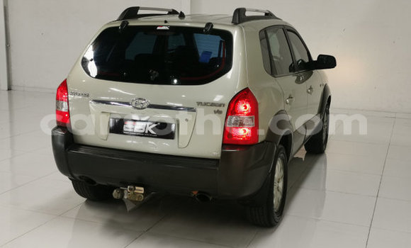 Buy Used Hyundai Tucson Other Car in Butha–Buthe in Thaba-Tseka Buy Used Hyundai Tucson Other Car in Butha–Buthe in Thaba-Tseka
