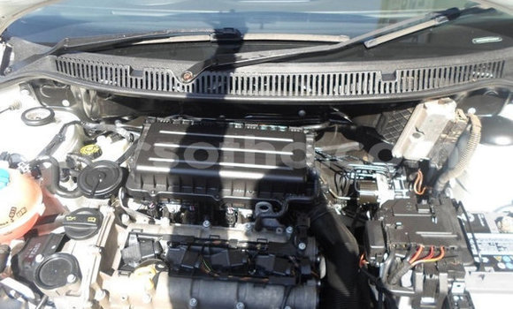 اشتري مستعمل Volkswagen Polo White سيارة في Maseru في Maseru اشتري مستعمل Volkswagen Polo White سيارة في Maseru في Maseru