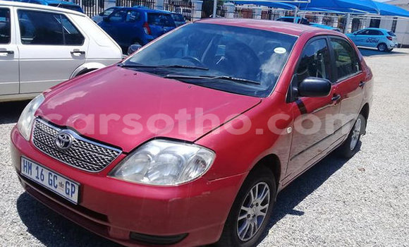 Sayi Na hannu Toyota Corolla Other Mota in Maseru a Maseru Sayi Na hannu Toyota Corolla Other Mota in Maseru a Maseru