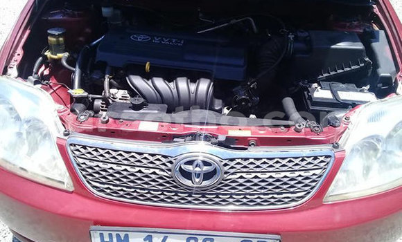 Sayi Na hannu Toyota Corolla Other Mota in Maseru a Maseru Sayi Na hannu Toyota Corolla Other Mota in Maseru a Maseru