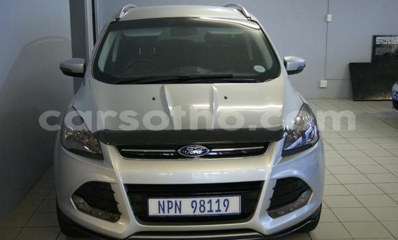 Acheter Occasion Voiture Ford EcoSport Gris à Maseru, Maseru Acheter Occasion Voiture Ford EcoSport Gris à Maseru, Maseru
