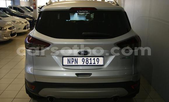 Acheter Occasion Voiture Ford EcoSport Gris à Maseru, Maseru Acheter Occasion Voiture Ford EcoSport Gris à Maseru, Maseru
