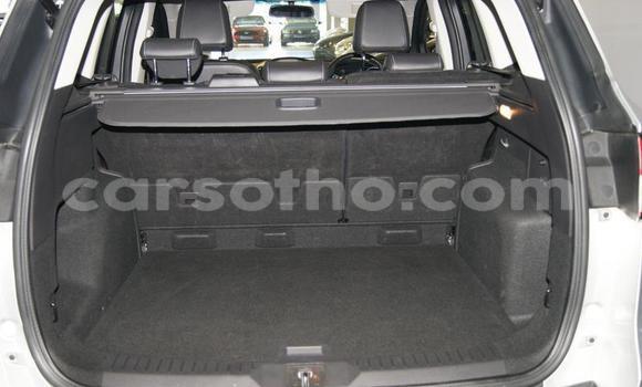 Acheter Occasion Voiture Ford EcoSport Gris à Maseru, Maseru Acheter Occasion Voiture Ford EcoSport Gris à Maseru, Maseru
