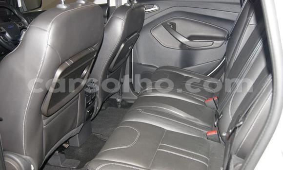 Acheter Occasion Voiture Ford EcoSport Gris à Maseru, Maseru Acheter Occasion Voiture Ford EcoSport Gris à Maseru, Maseru