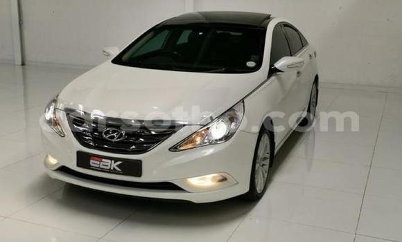 Acheter Occasion Voiture Hyundai Sonata Blanc à Maputsoa, Leribe Acheter Occasion Voiture Hyundai Sonata Blanc à Maputsoa, Leribe