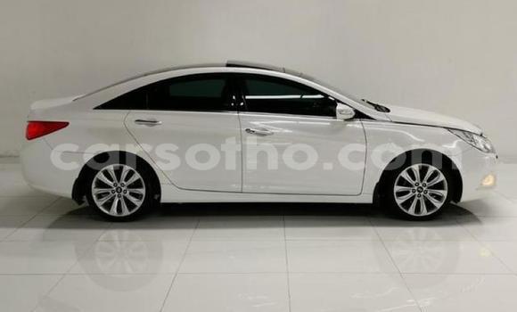 Acheter Occasion Voiture Hyundai Sonata Blanc à Maputsoa, Leribe Acheter Occasion Voiture Hyundai Sonata Blanc à Maputsoa, Leribe