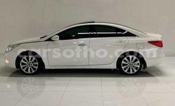 Acheter Occasion Voiture Hyundai Sonata Blanc à Maputsoa, Leribe Acheter Occasion Voiture Hyundai Sonata Blanc à Maputsoa, Leribe