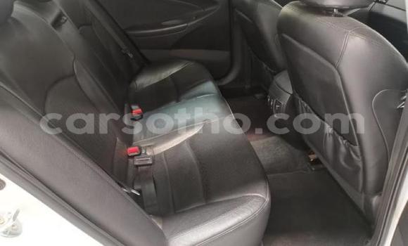 Acheter Occasion Voiture Hyundai Sonata Blanc à Maputsoa, Leribe Acheter Occasion Voiture Hyundai Sonata Blanc à Maputsoa, Leribe