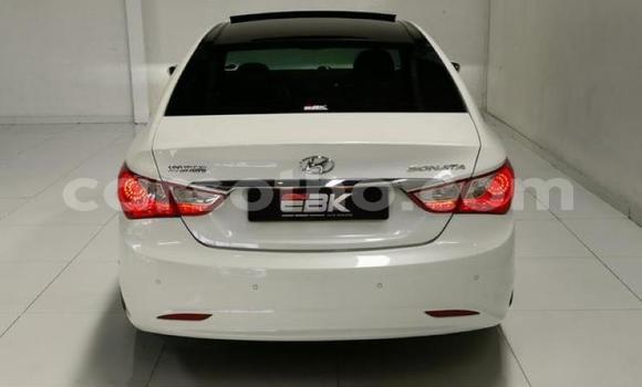Acheter Occasion Voiture Hyundai Sonata Blanc à Maputsoa, Leribe Acheter Occasion Voiture Hyundai Sonata Blanc à Maputsoa, Leribe