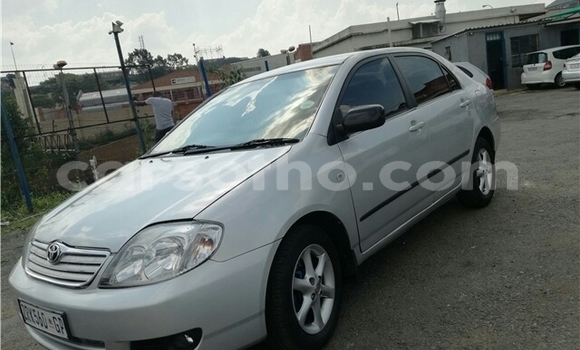 Buy Used Toyota Corolla Silver Car in Maseru in Maseru Buy Used Toyota Corolla Silver Car in Maseru in Maseru