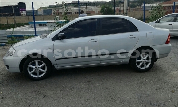 Buy Used Toyota Corolla Silver Car in Maseru in Maseru Buy Used Toyota Corolla Silver Car in Maseru in Maseru