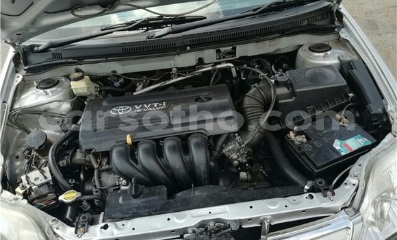 Buy Used Toyota Corolla Silver Car in Maseru in Maseru Buy Used Toyota Corolla Silver Car in Maseru in Maseru
