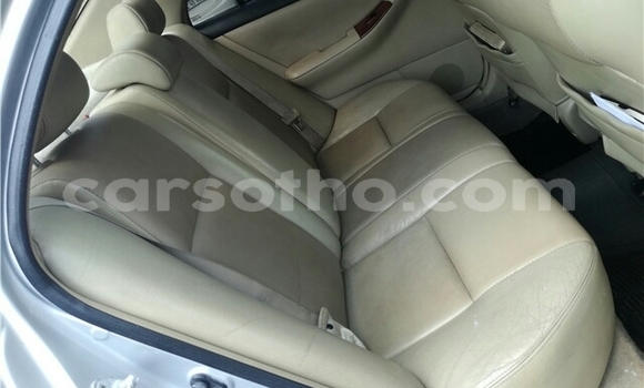 Buy Used Toyota Corolla Silver Car in Maseru in Maseru Buy Used Toyota Corolla Silver Car in Maseru in Maseru