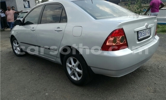 Buy Used Toyota Corolla Silver Car in Maseru in Maseru Buy Used Toyota Corolla Silver Car in Maseru in Maseru