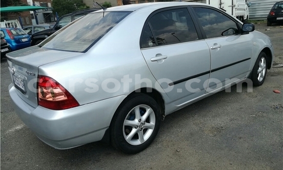 Buy Used Toyota Corolla Silver Car in Maseru in Maseru Buy Used Toyota Corolla Silver Car in Maseru in Maseru