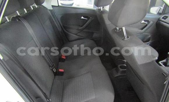 Buy Used Volkswagen Polo White Car in Hlotse in Leribe Buy Used Volkswagen Polo White Car in Hlotse in Leribe