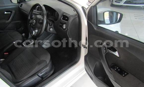 Buy Used Volkswagen Polo White Car in Hlotse in Leribe Buy Used Volkswagen Polo White Car in Hlotse in Leribe
