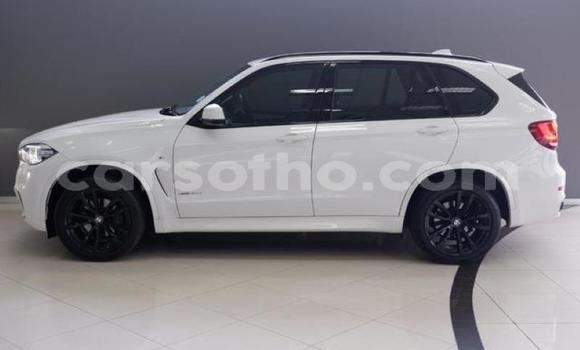 Buy Used BMW X5 White Car in Hlotse in Leribe Buy Used BMW X5 White Car in Hlotse in Leribe