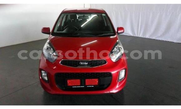 Acheter Occasion Voiture Kia Picanto Rouge à Maseru, Maseru Acheter Occasion Voiture Kia Picanto Rouge à Maseru, Maseru