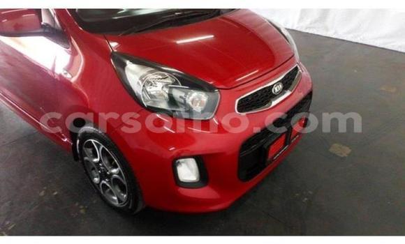 Acheter Occasion Voiture Kia Picanto Rouge à Maseru, Maseru Acheter Occasion Voiture Kia Picanto Rouge à Maseru, Maseru