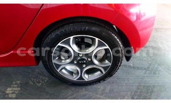 Acheter Occasion Voiture Kia Picanto Rouge à Maseru, Maseru Acheter Occasion Voiture Kia Picanto Rouge à Maseru, Maseru