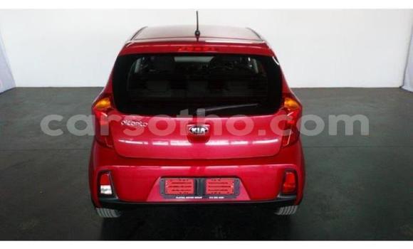 Acheter Occasion Voiture Kia Picanto Rouge à Maseru, Maseru Acheter Occasion Voiture Kia Picanto Rouge à Maseru, Maseru