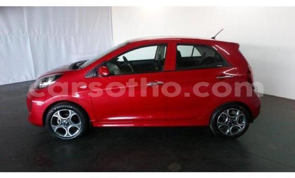 Acheter Occasion Voiture Kia Picanto Rouge à Maseru, Maseru Acheter Occasion Voiture Kia Picanto Rouge à Maseru, Maseru