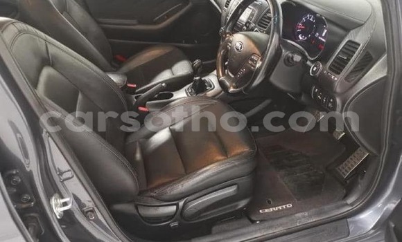 Buy Used Kia Cerato Beige Car in Maputsoe in Leribe Buy Used Kia Cerato Beige Car in Maputsoe in Leribe