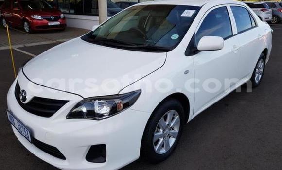 اشتري مستعمل Toyota Corolla White سيارة في Maputsoa في Leribe اشتري مستعمل Toyota Corolla White سيارة في Maputsoa في Leribe