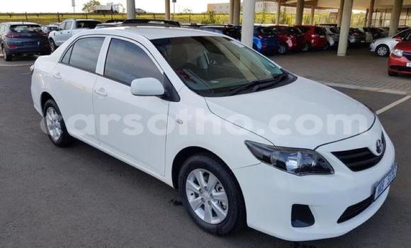اشتري مستعمل Toyota Corolla White سيارة في Maputsoa في Leribe اشتري مستعمل Toyota Corolla White سيارة في Maputsoa في Leribe
