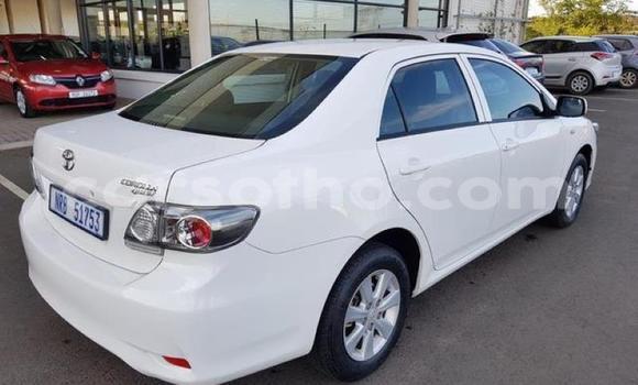 اشتري مستعمل Toyota Corolla White سيارة في Maputsoa في Leribe اشتري مستعمل Toyota Corolla White سيارة في Maputsoa في Leribe
