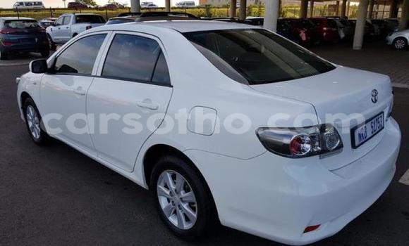 اشتري مستعمل Toyota Corolla White سيارة في Maputsoa في Leribe اشتري مستعمل Toyota Corolla White سيارة في Maputsoa في Leribe