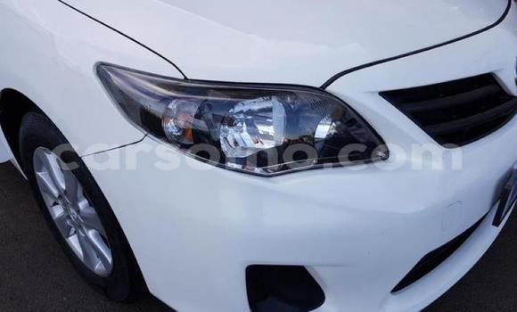 اشتري مستعمل Toyota Corolla White سيارة في Maputsoa في Leribe اشتري مستعمل Toyota Corolla White سيارة في Maputsoa في Leribe