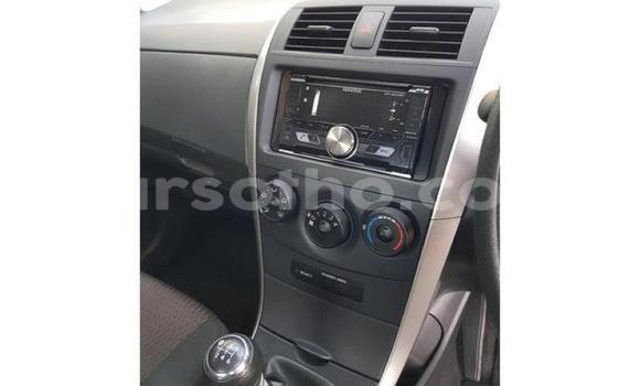 اشتري مستعمل Toyota Corolla White سيارة في Maputsoa في Leribe اشتري مستعمل Toyota Corolla White سيارة في Maputsoa في Leribe