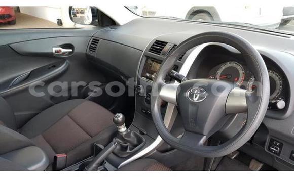 اشتري مستعمل Toyota Corolla White سيارة في Maputsoa في Leribe اشتري مستعمل Toyota Corolla White سيارة في Maputsoa في Leribe