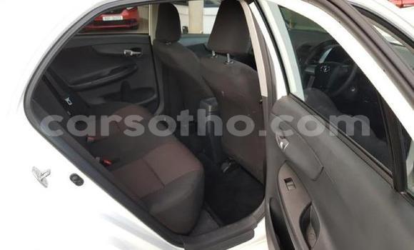 اشتري مستعمل Toyota Corolla White سيارة في Maputsoa في Leribe اشتري مستعمل Toyota Corolla White سيارة في Maputsoa في Leribe