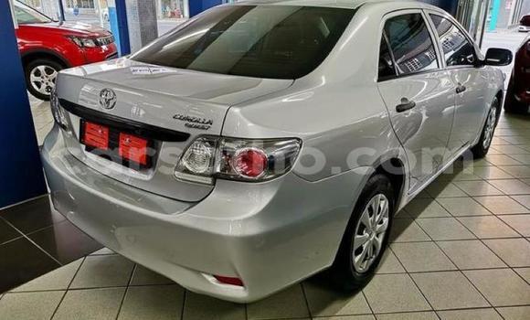Acheter Occasion Voiture Toyota Corolla Gris à Maputsoa, Leribe Acheter Occasion Voiture Toyota Corolla Gris à Maputsoa, Leribe