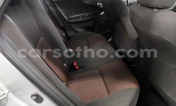 Acheter Occasion Voiture Toyota Corolla Gris à Maputsoa, Leribe Acheter Occasion Voiture Toyota Corolla Gris à Maputsoa, Leribe