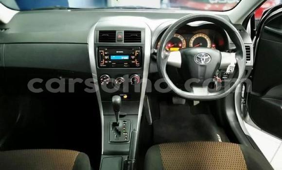 Acheter Occasion Voiture Toyota Corolla Gris à Maputsoa, Leribe Acheter Occasion Voiture Toyota Corolla Gris à Maputsoa, Leribe