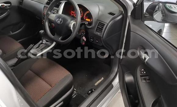 Acheter Occasion Voiture Toyota Corolla Gris à Maputsoa, Leribe Acheter Occasion Voiture Toyota Corolla Gris à Maputsoa, Leribe