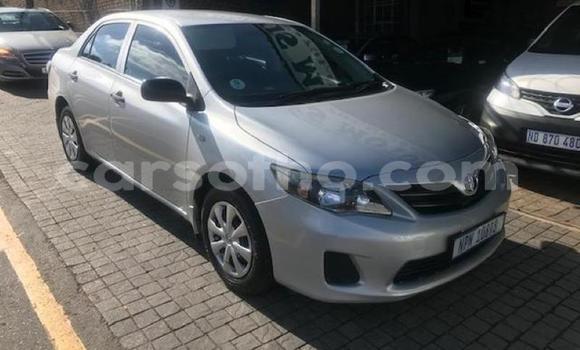اشتري مستعمل Toyota Corolla Silver سيارة في Maputsoa في Leribe اشتري مستعمل Toyota Corolla Silver سيارة في Maputsoa في Leribe