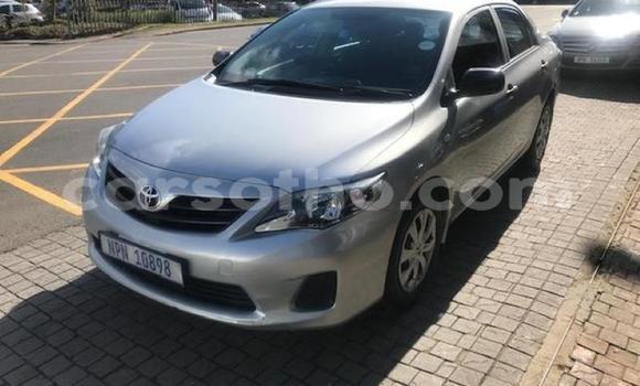 اشتري مستعمل Toyota Corolla Silver سيارة في Maputsoa في Leribe اشتري مستعمل Toyota Corolla Silver سيارة في Maputsoa في Leribe