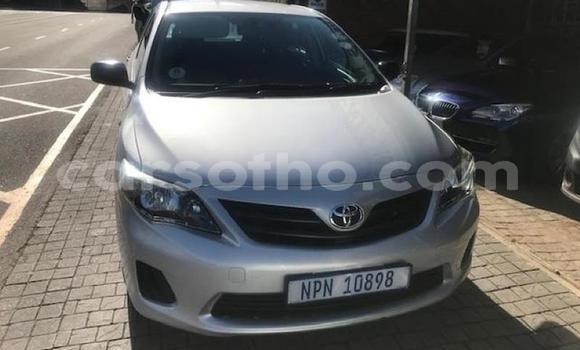 اشتري مستعمل Toyota Corolla Silver سيارة في Maputsoa في Leribe اشتري مستعمل Toyota Corolla Silver سيارة في Maputsoa في Leribe